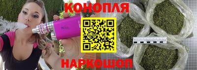 шишки Гусев