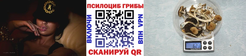 цена блэк спрут ССЫЛКА Псилоцибиновые грибы ЛСД Рыбинск
