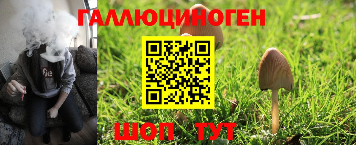 Псилоцибиновые грибы GOLDEN TEACHER Рыбинск