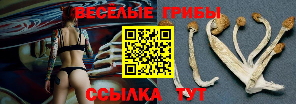 Псилоцибиновые грибы мицелий Рыбинск