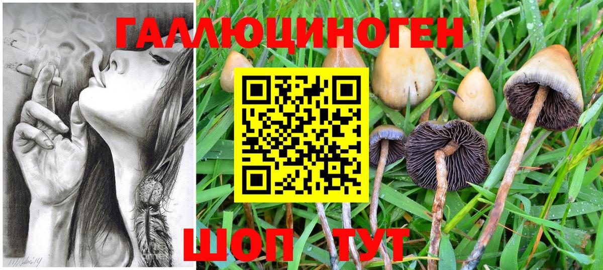 наркота  Рыбинск  Псилоцибиновые грибы Cubensis 